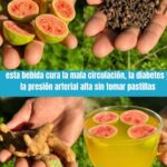 La Bebida Milagrosa: Combatiendo la Diabetes y la Mala Circulación con Ingredientes Naturales