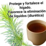 20 Razones para Incorporar la Hierba Carnicera en tu Vida