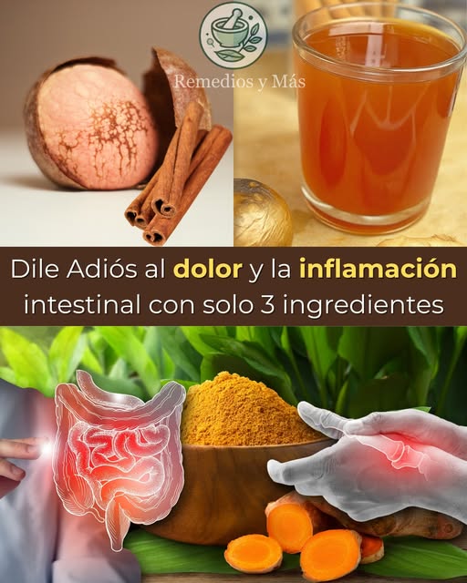 Ingredientes naturales para la inflamación intestinal