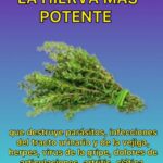 La Hierba Más Potente para la Salud Natural