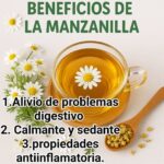 Descubre los Increíbles Beneficios de la Manzanilla para la Salud