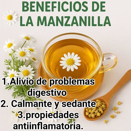 Beneficios de la Manzanilla