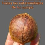 La Semilla Milagrosa: Elimina Enfermedades y Mejora tu Salud