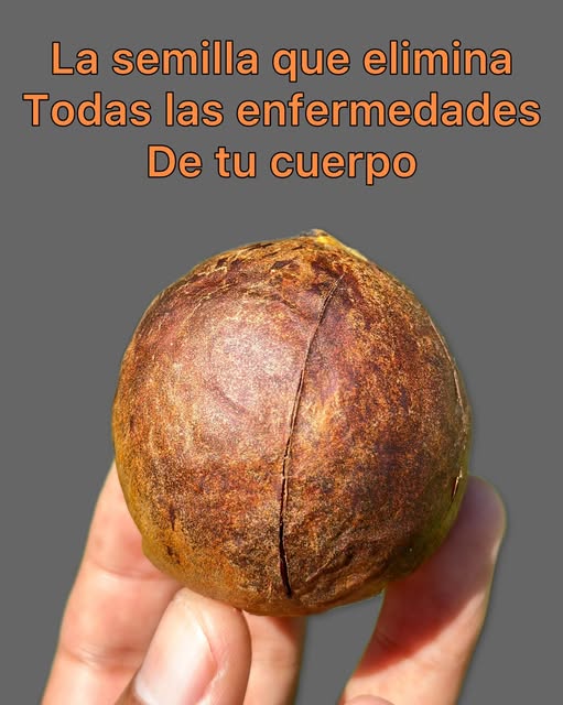 La semilla que elimina todas las enfermedades de tu cuerpo