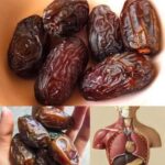 Los Dátiles: La Fruta más Poderosa para tu Salud Digestiva