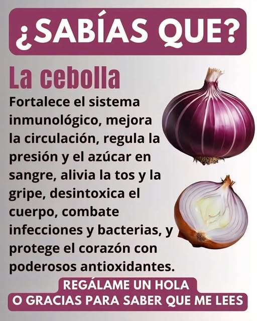 Cebolla Morada