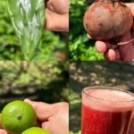 La Bebida Milagrosa: Cómo el Nopal, Betabel y Limón Transformaron la Salud de Mi Padre