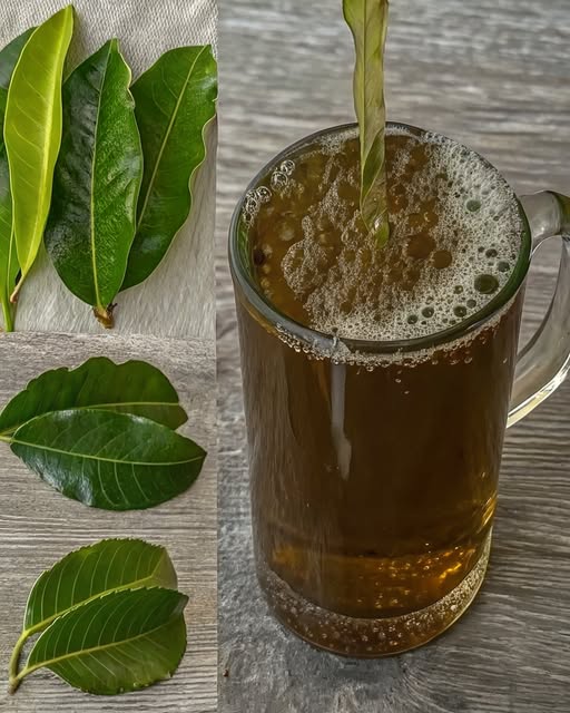 Preparación de infusión con hojas medicinales