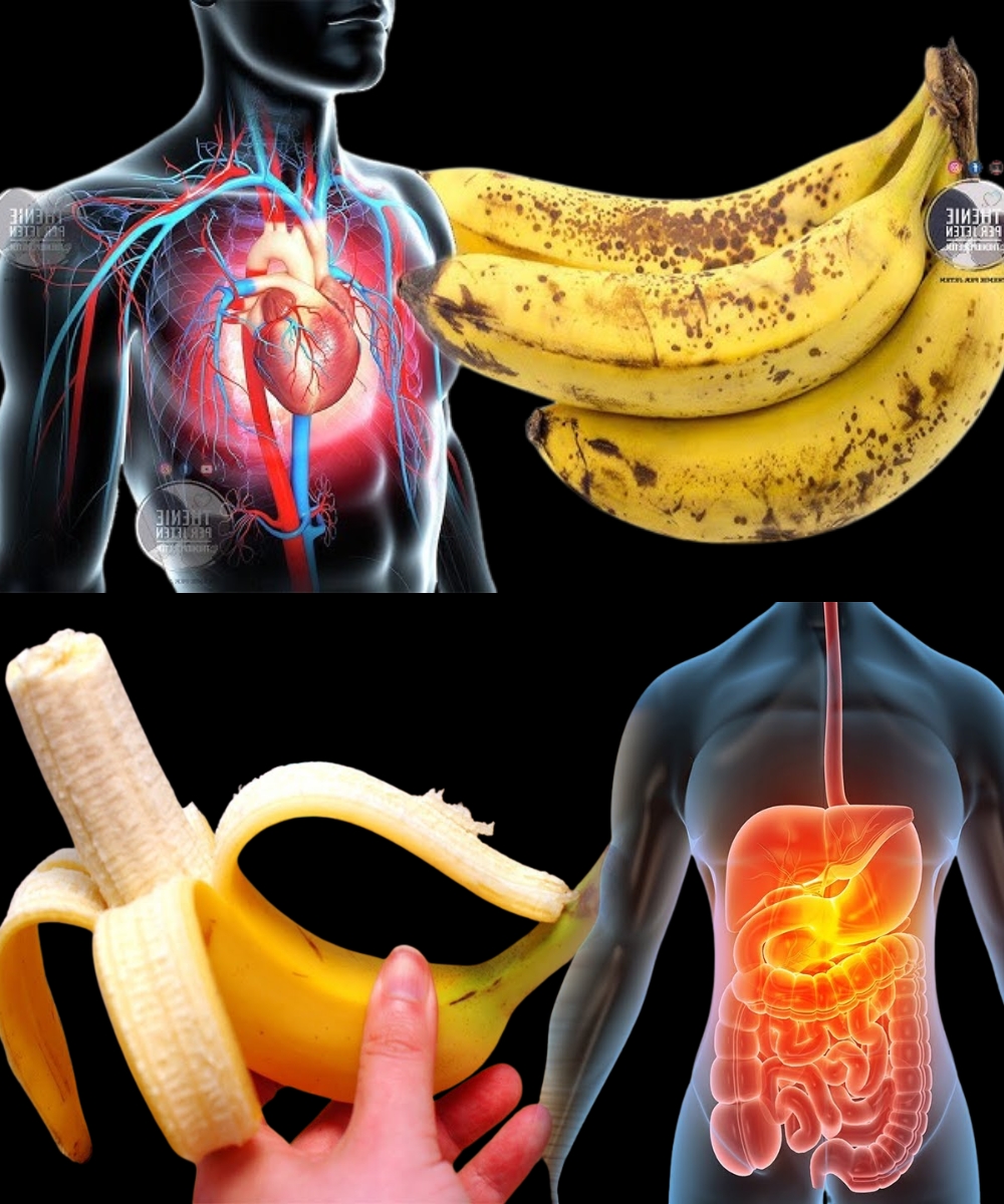 Beneficios del plátano para el sistema cardiovascular y digestivo