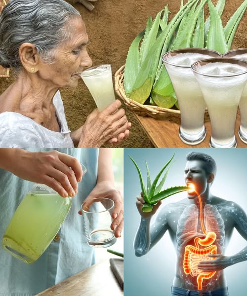Agua de sábila