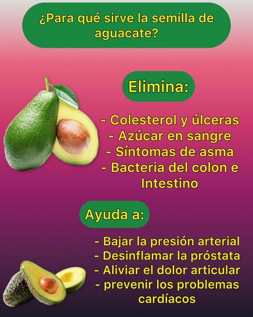 Semilla de Aguacate