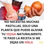 Receta Natural para Mejorar la Salud de tu Vejiga