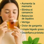 Descubre los Beneficios de la Hierbabuena: Receta de Jugo Refrescante con Limón