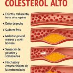Síntomas del Colesterol Alto: Cómo Identificarlos y Actuar a Tiempo