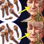 Beneficios de Masticar Clavos de Olor Diariamente Después de los 50