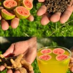 Una Bebida Natural para Mejorar la Circulación y la Salud