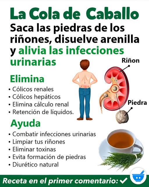 Infusión de Cola de Caballo y Perejil