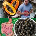 30 Beneficios Sorprendentes de las Semillas de Papaya para Tu Salud Digestiva