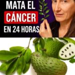 El Poder Curativo de la Guanábana: ¿Una Esperanza Contra el Cáncer?