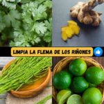 ¡Desintoxica Tus Riñones! Receta Natural con Cilantro, Jengibre, Cola de Caballo y Lima