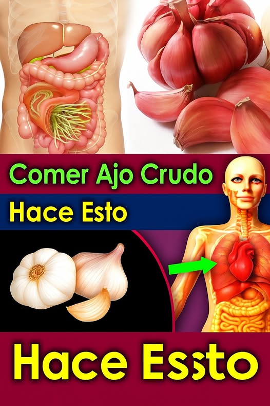 Beneficios del Ajo Crudo