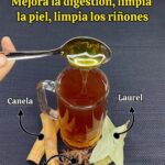 Descubre la Bebida Natural que Mejora la Digestión, Limpia la Piel y Los Riñones