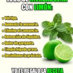 Descubre los Beneficios del Jugo de Hierbabuena con Limón para la Salud