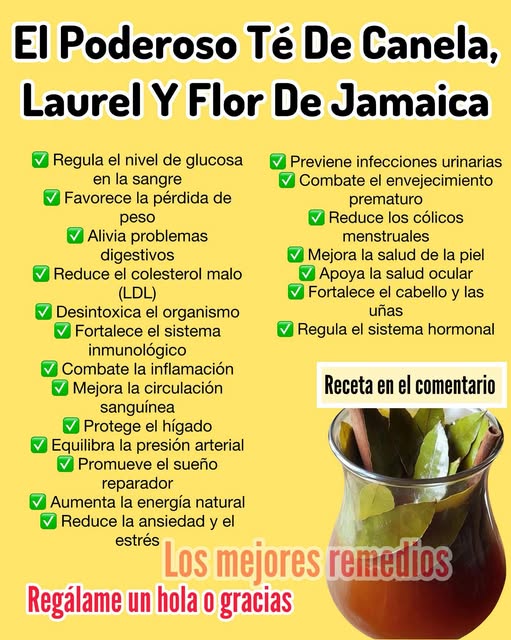 Té de canela, laurel y flor de Jamaica