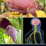 Descubre la Flor de Banano: Jugos, Recetas y Sus Sorprendentes Beneficios para la Salud