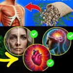 12 Beneficios de la Semilla de Moringa que Tu Médico Nunca Te Contará