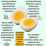 El Huevo Hervido: El Súper Alimento que Quizás Estás Subestimando