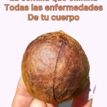 La Semilla de Aguacate: Un Tesoro Natural para tu Salud