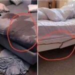 Consejos Naturales para Mejorar la Salud Sexual y el Bienestar en la Cama