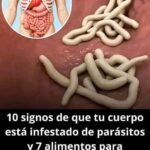 Los Terribles Síntomas de Tener Parásitos y Cómo Solucionarlo