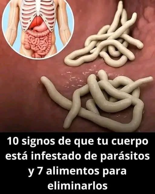Gráfico sobre Parásitos en el Cuerpo