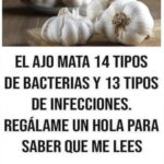 El Poder Antibacteriano del Ajo: Un Remedio Natural para la Salud