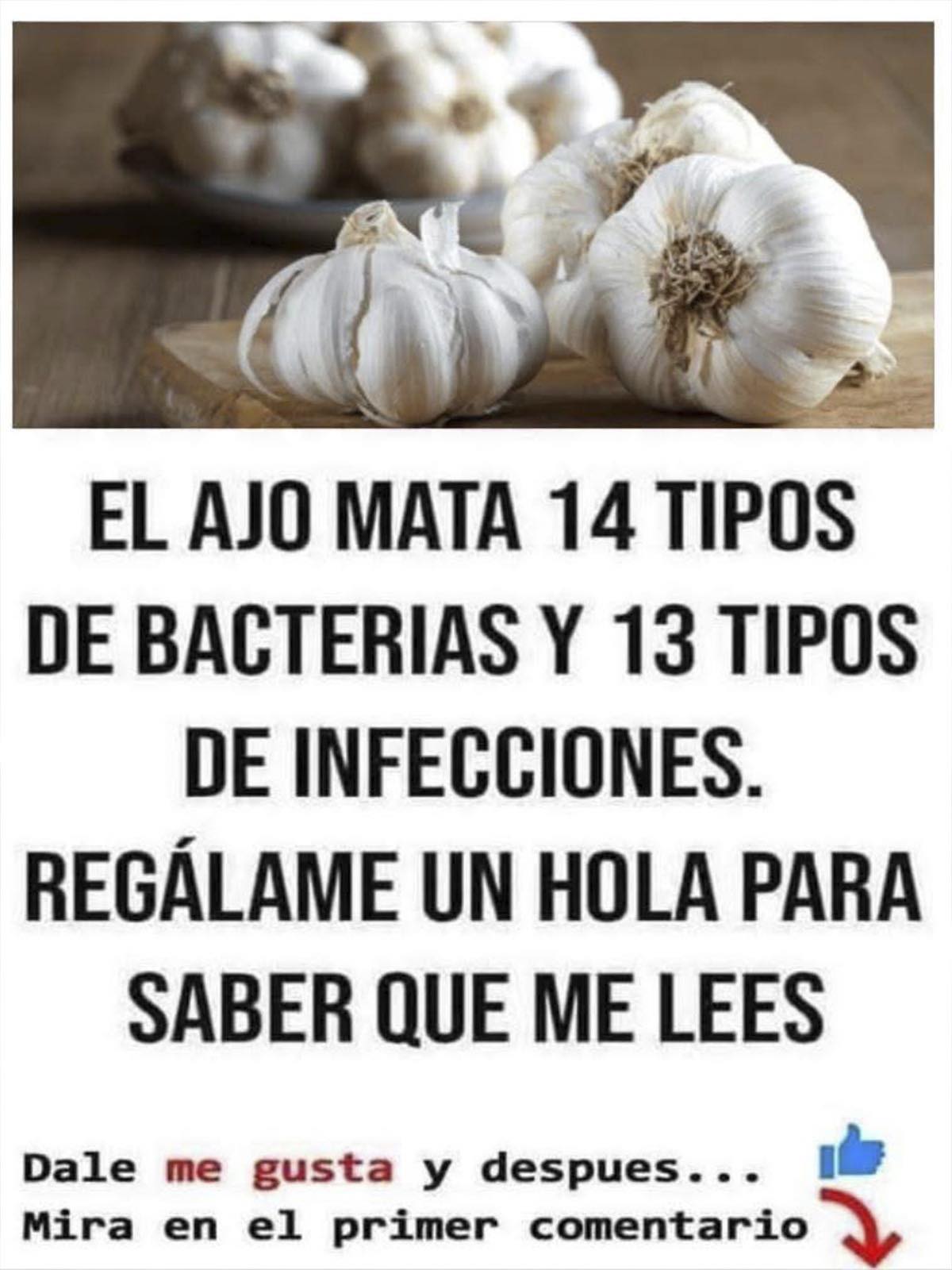Cabezas de ajo sobre madera