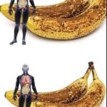 Beneficios de Comer Bananas Todos los Días para Tu Salud