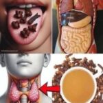 Descubre los Beneficios del Clavo de Olor para Tu Salud