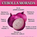 Los Maravillosos Beneficios de la Cebolla Morada