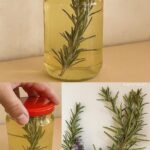 Infusión de Romero en Vino Blanco: Beneficios y Receta Casera