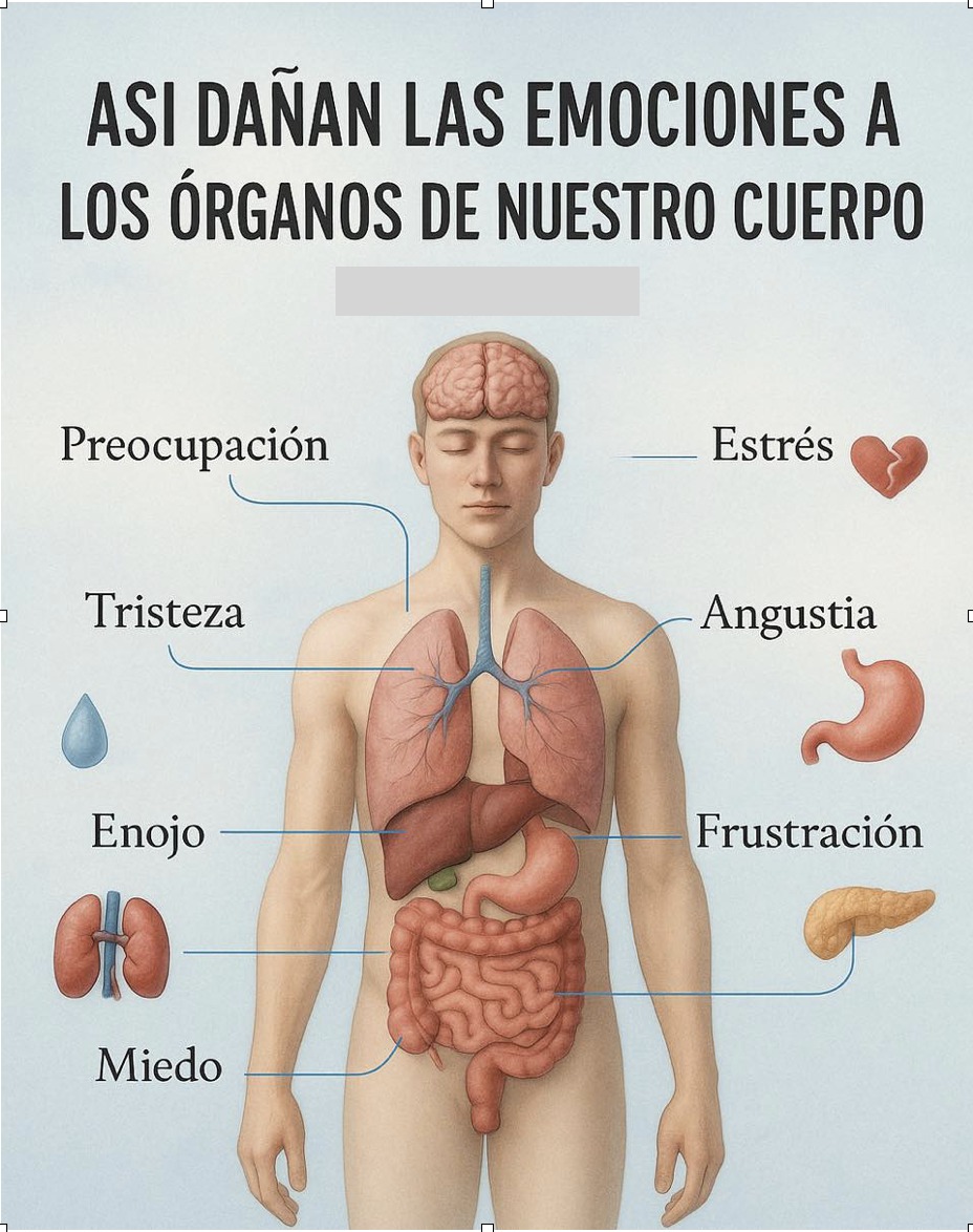 Gráfico sobre emociones y órganos
