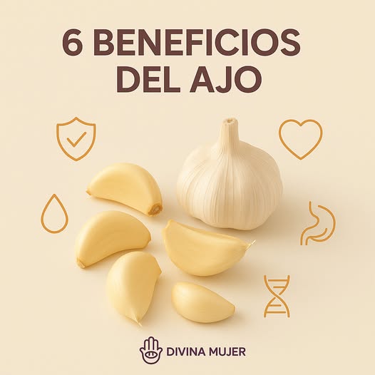 Cabeza de ajo y dientes de ajo