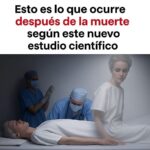 Investigaciones sobre lo que Ocurre Después de la Muerte: Una Perspectiva Científica