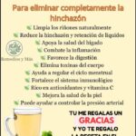 Descubre los asombrosos beneficios del té de perejil para la salud