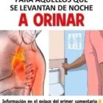 ¿Es Normal Levantarse de Noche a Orinar? Razones y Remedios Naturales