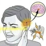 Zumbido en los Oídos: Causas y Remedios Naturales para el Alivio