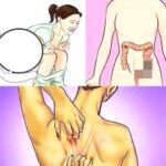 Signos de Problemas Digestivos y Cómo Aliviarlos con Remedios Naturales
