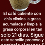 La Mejor Bebida Quemagrasas para Perder Peso de Forma Natural