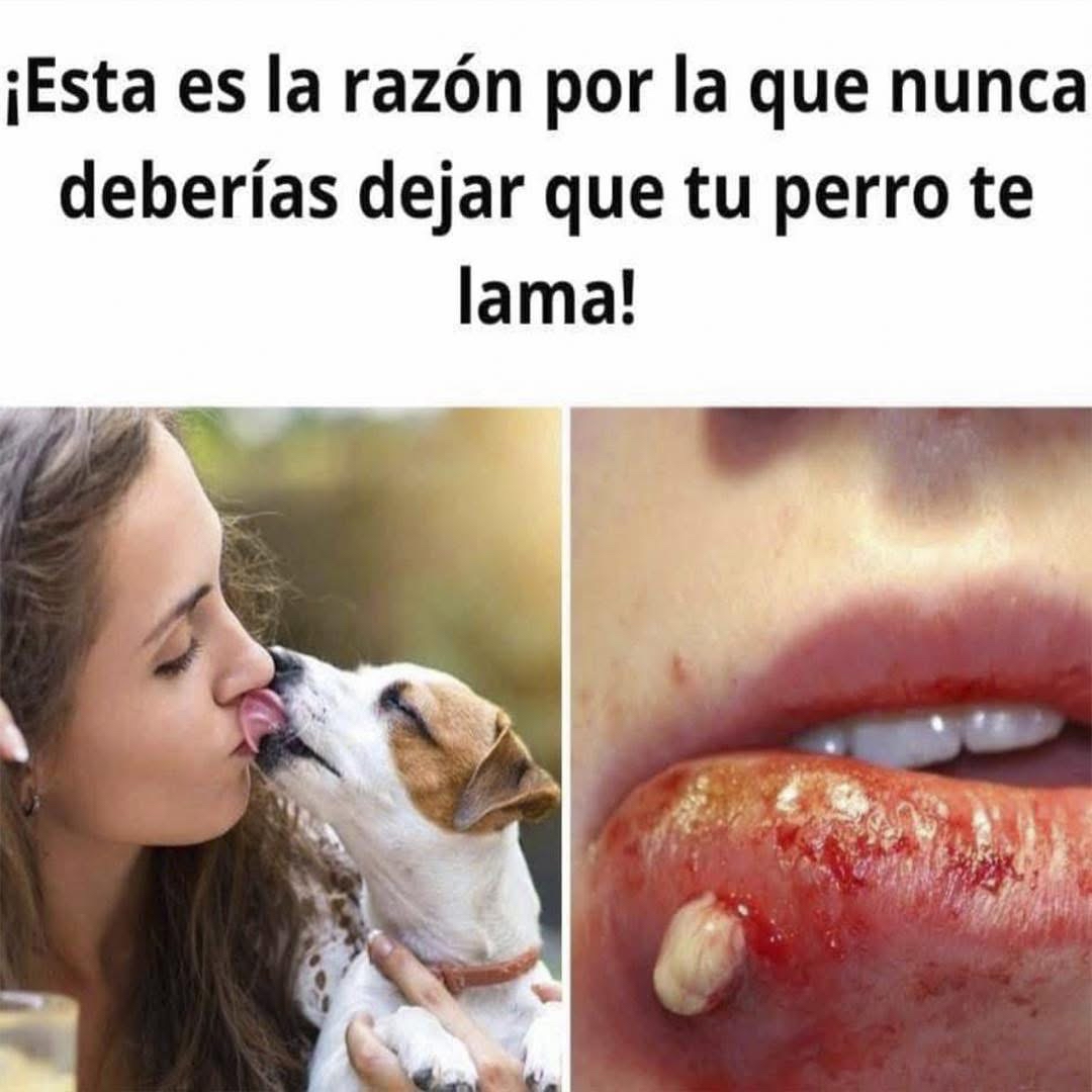 Infección en el labio causada por lamido de perro